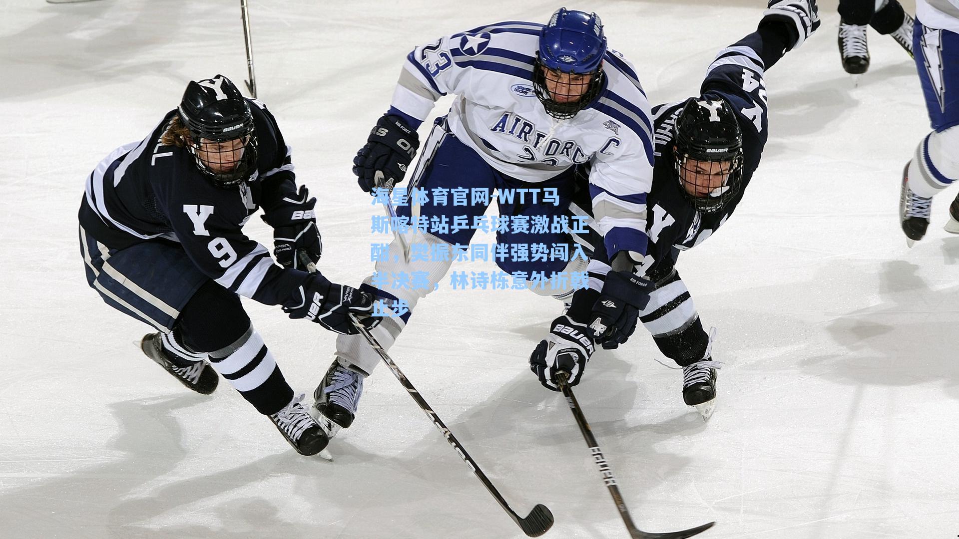 WTT马斯喀特站乒乓球赛激战正酣，樊振东同伴强势闯入半决赛，林诗栋意外折戟止步