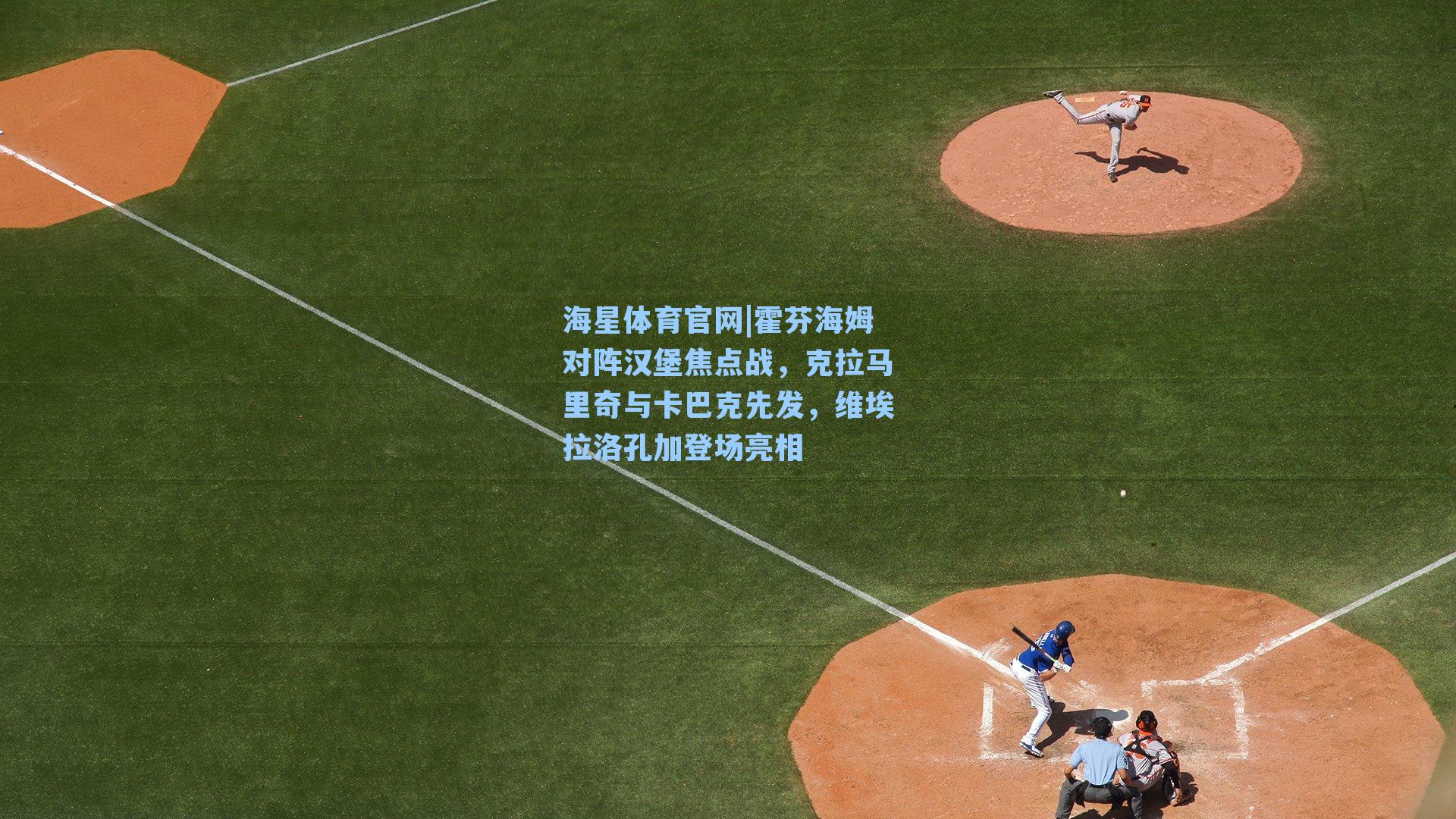 霍芬海姆对阵汉堡焦点战，克拉马里奇与卡巴克先发，维埃拉洛孔加登场亮相