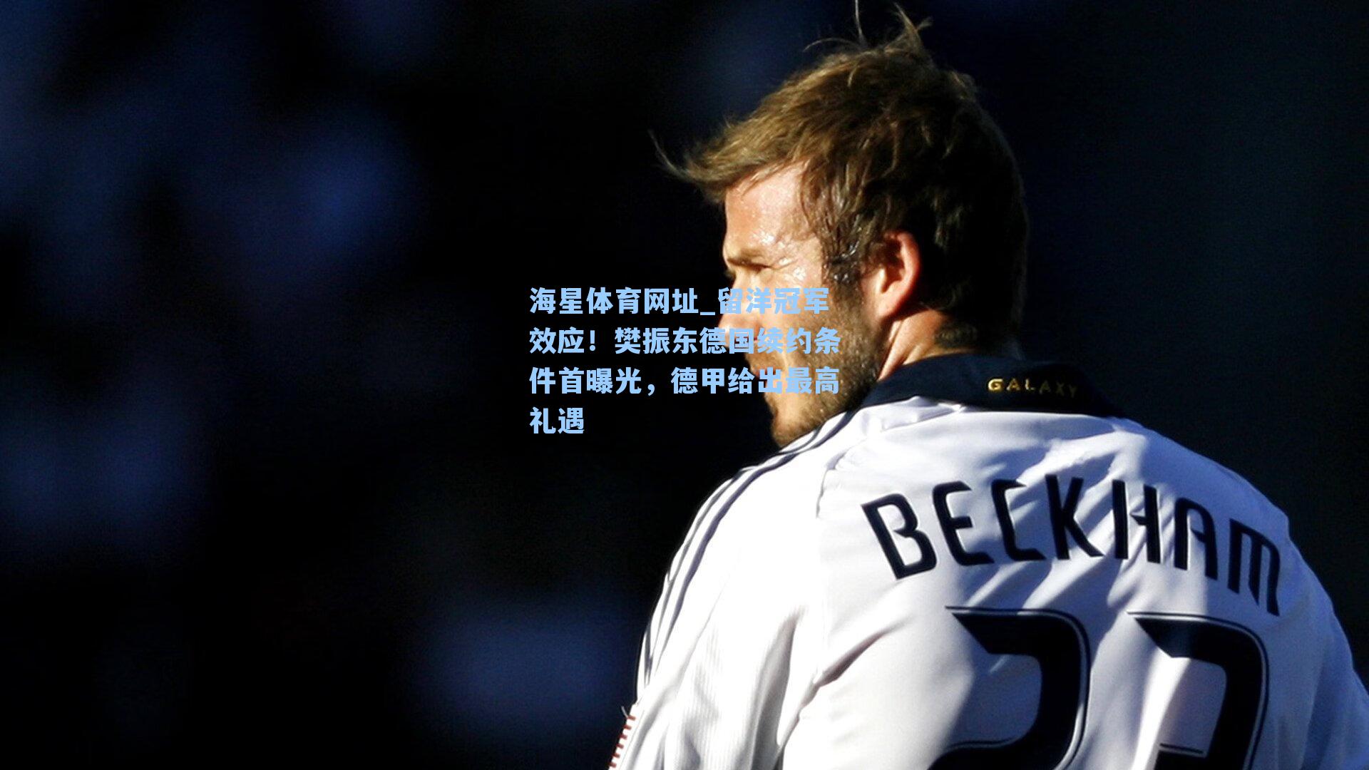 留洋冠军效应!樊振东德国续约条件首曝光,德甲给出最高礼遇