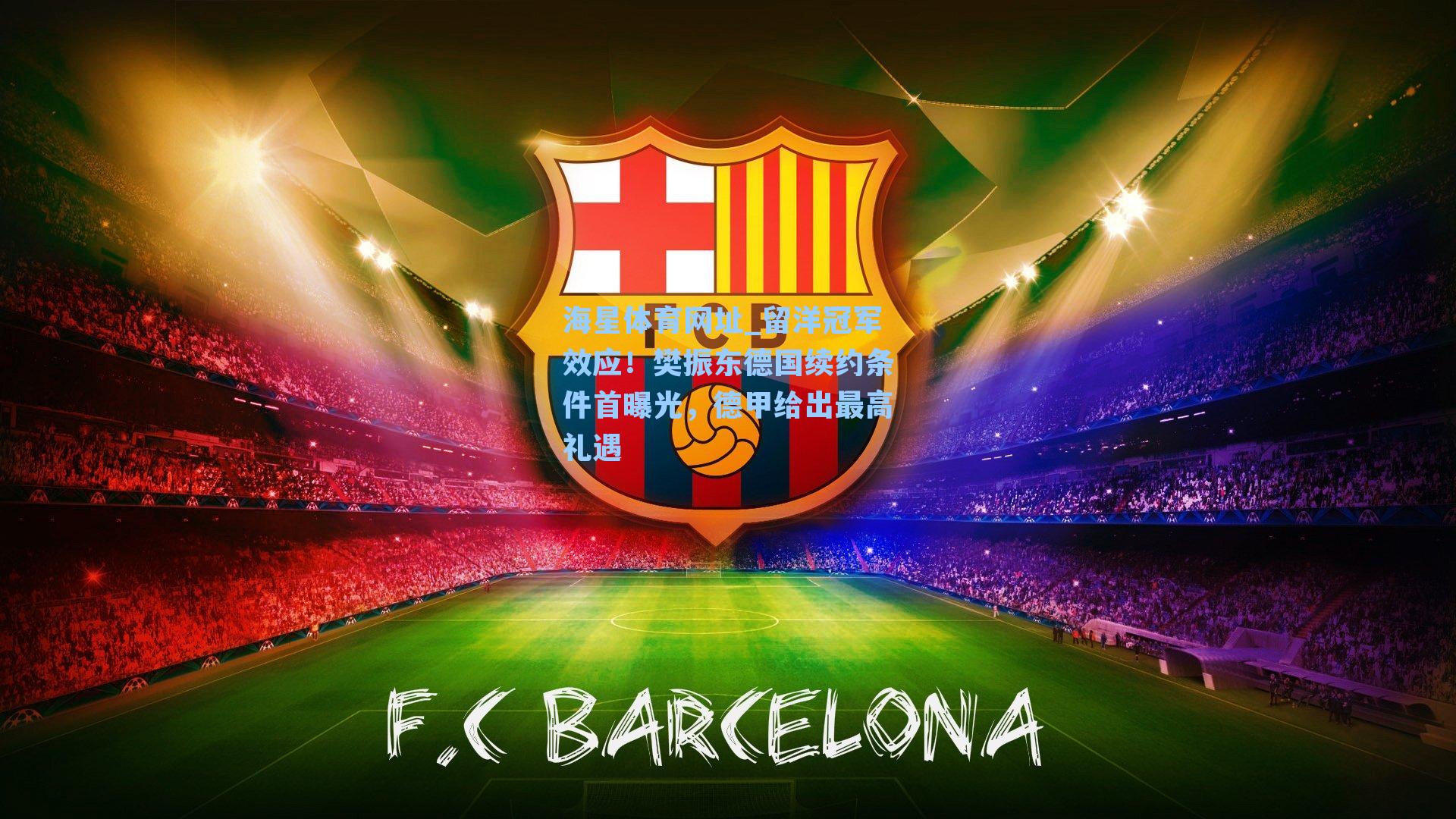 留洋冠军效应!樊振东德国续约条件首曝光,德甲给出最高礼遇